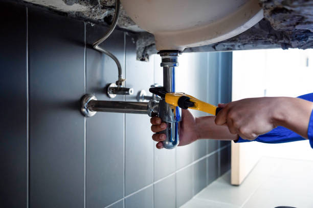 Professional Plumbing Services in Beechwood, MI